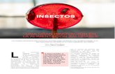 INSECTOS · 2020-02-03 · Pues diferentes tipos de insectos en diferentes momentos de su crecimiento, criados y cultivados para su aprovechamiento en el campo de la alimentación.