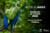 Presentación de PowerPoint...Dirección Provincial de Orellana Logros de la Gestión Unidad de Patrimonio Natural: Áreas Protegidas • 10.353 Visitas en áreas protegidas • Personal