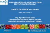 BUENAS PRÁCTICAS AGRICOLAS (BPA) SECTOR … · 2019-03-21 · BPA OBLIGATORIAS Curso virtual de capacitación de BPA obligatorio • Organizado por SENASA, INTA y la SG de Agroindustria