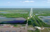 Manglares de México: Extensión, distribución y monitoreo€¦ · nitorear el efecto de acciones y políticas públi-cas sobre el ecosistema de manglar. 3.3 Niveles de aplicación