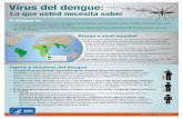 Virus del dengue: Lo que usted necesita saber · Virus del dengue: Lo que usted necesita saber. El dengue es: Un virus que se transmite por las picaduras de mosquitos. Los mosquitos