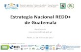 Estrategia Nacional REDD+ de Guatemala · 2017-02-24 · Estrategia Nacional REDD+ de Guatemala Estructura de la Estrategia REDD+ Componente 1 Organización y consulta Mecanismos