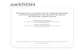 Percepción y práctica de la responsabilidad social ...repositorio.uasb.edu.ec/bitstream/10644/6331/1/04-ES-Suarez-Burgos.pdfPalabras clave: Responsabilidad social empresarial, pyme,