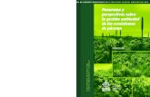 Panorama y perspectivas Panorama y perspectivas sobre la ... · Programa Montaña del Convenio de Diversidad Biológica ... Ecología, evolución y economía de los páramos en un