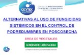 Presentación de PowerPointmittic.gobex.es/upload/web/publico/07_uid2._FCO_SANCHEZ_alterna… · Centro de Investigaciones Científicas y Tecnológicas de Extremadura CONCLUSIONES