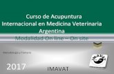 Curso de Acupuntura Internacional en Medicina Veterinaria ... Acup Internac_ OnlineSite_IMAVAT2017.pdf · amplia trayectoria en la acupuntura veterinaria desde 1992. Luego de haber
