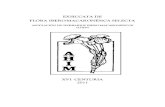 EXSICCATA DE FLORA IBERO-MACARONÉSICA SELECTA · 2012-01-28 · 3 Presentamos a continuación el conjunto de táxones que componen la nueva Centuria de las Exsiccata de Flora Ibero-