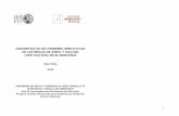LA CUESTION DE LA EFECTIVIDAD DE LAS REGLAS DE JUEGO EN EL MERCOSUR… · 2009-01-08 · 1)“Integración de Cadenas Productivas y Foros de Competitividad en el Mercosur”/Propuesta