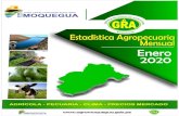 ESTADISTICA AGROPECUARIA MENSUAL · 2020-03-12 · agropecuaria como son productores, empresarios exportadores, comercializadores, investigadores y personas en general interesados