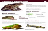 À Descoberta da Biodiversidadebiodiversidade.serralves.pt/fotos/tabs_especies/... · À Descoberta da Biodiversidade Maternidade às costas O Noroeste da Península Ibérica apresenta
