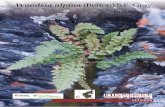 Woodsia alpina Fitxa especie 2019 - ichn-garrotxa.espais ... · de les Capçaleres del Ter i del Freser Institució Catalana de . el c) el de Gállego 234583): a) b) puig Corn ador