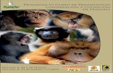 Programa VI Curso de Primatología Conservación Y Cognición ...guillermobustelo.com/wp-content/uploads/2015/05/CURSO-VI_RAINF… · - Discriminación Taxonómica en primates por