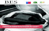 CONSUMO DE COMBUSTIBLES DERIVADOS DE LA MADERA Y …achbiom.cl/wp-content/uploads/2018/06/BES-08-FINAL.pdf · BES | Nº 8 | AÑO 4 ENERO 2018 ISSN: 0719-7136 CONSUMO DE COMBUSTIBLES