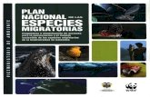 Plan Nacional de las especies migratorias · el manatí antillano T manatus manatus se encuentra en las COStas de México, gran parte de las islas del Caribe y en ríos y la zona