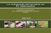 La soberanía alimentaria - Alboancentroderecursos.alboan.org/ebooks/0000/0643/7_PTM_SOB.pdf · A. El concepto de soberanía alimentaria desde el punto de vista de una producción