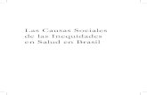 Las Causas Sociales de las Inequidades en Salud en Brasilbvsmig5.icict.fiocruz.br/wp-content/uploads/2016/02/sum_exec_es.pdf · C733c Comisión Nacional sobre Determinantes Sociales