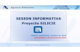 SESION INFORMATIVA Proyecto SILICIE · 2020. 7. 6. · SESION INFORMATIVA Proyecto SILICIE Madrid, septiembre-octubre de 2019 ... Plazo de suministro del asiento contable Hasta Martes