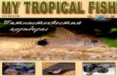 My Tropical Fish · Скакунова “Рыбка в цифре” поможет аквариумистам понять, как фотографировать и что нужно