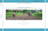 REPÚBLICA DE NICARAGUA VALORACION AMBIENTAL …documents.worldbank.org/curated/en/628441483069273208/pdf/SF… · 1. INTRODUCCIÓN El Gobierno de Nicaragua a través del Ministerio
