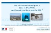 Les « habitats benthiques » dans la DCSMM : …...Les habitats benthiques ciblés dans la DCSMM ( Source : DÉCISION (UE) 2017/848 DE LA COMMISSION du 17 mai 2017 établissant des