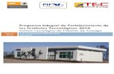Programa Integral de Fortalecimiento de los Institutos ...pabellon.tecnm.mx/pdf/transparencia/pifit/PIFIT 2010 ITPA.pdf · Alma Esther González Reyes Encargada del Departamento de