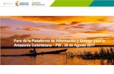 Foro de la Plataforma de Información y Diálogo para la ... · Navegabilidad en los ríos Colombianos en la Amazonía. Las longitudes navegables en los principales ríos de la Amazonía