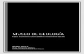 MUSEO DE GEOLOGÍA...de acuerdo a su origen: rocas ígneas (intrusivas y extrusivas), rocas sedimentarias y rocas metamórficas • Sala de Paleontología En esta sala son exhibidos