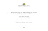 Nuevas Formas de Representación Social: Una Investigación ...repositorio.uchile.cl/tesis/uchile/2006/munoz_d/sources/munoz_d.pdf · Una Investigación Exploratoria-Descriptiva del