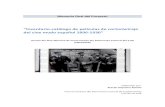 Inventario-catálogo de películas de cortometraje del cine mudo …9d2... · 2020. 8. 3. · cortometraje del cine mudo español 1896-1930”. En esta ocasión, el objeto del trabajo