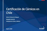 Certificación de Cárnicos en Chile · 2020. 8. 12. · sanitario, como a las directrices de los organismos internacionales relacionados con la sanidad animal y la inocuidad de los
