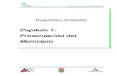 Capítulo 1: Presentación del Municipioagenda21medianadearagon.dpz.es/gestion/tinymce/uploaded/...2.3. Huella ecológica. 3. Diagnóstico global. En el Diagnóstico Ambiental, propiamente