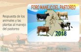 Respuesta de los animales y las plantas al manejo del pastoreofz.uach.mx/util/2018/03/06/C. Respuesta animales y... · Respuesta de los animales y las plantas al manejo del pastoreo.