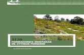 Formaciones montanas de Cytisus purgans · FoRMaCiones Montanas de . Cytisus purgans. Esta ficha forma parte de la publicación Bases ecológicas preliminares para la conservación