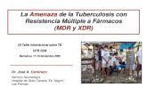 17 Caminero La Amenaza de la TB con Resistencia M€¦ · La Amenaza de la Tuberculosis con Resistencia Múltiple a Fármacos (MDR y XDR) XII Taller Internacional sobre TB UITB 2008