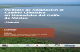 Medidas de Adaptación al Cambio Climático en Humedales del … · 2020. 5. 29. · Medidas de Adaptación al Cambio Climático en los Humedales del Golfo de México Versión Preliminar