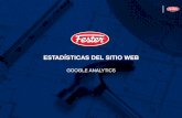 ESTADÍSTICAS DEL SITIO WEB - Fester · Google Analytics es una herramienta de información web de la empresa Google, que ofrece información agrupada del tráﬁco que llega a tu