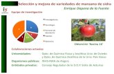 Enrique Dapena de la Fuente - INIA...'Industrial Química del Nalón S.A., Oviedo, Spain Research Article Experimental design applied to the analysis of volatile compounds in apple