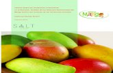 National Mango Board · alimentos/bebidas que reducen el colesterol, y el 24% compró productos que se enfocan en el control de peso. Otros beneficios buscados por consumidores para