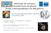 Méthode de mesures biométriques de glènes Etude ... · Méthode de mesures biométriques de glènes Etude scannographique de 200 glènes. G. MENU 1, E. BOYER , S. EL RAMADAN2,