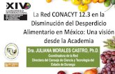 La Red CONACYT 12.3 en la Disminución del Desperdicio ...€¦ · Disminuir el cambio climático ... desperdicios Alimentarios en México Pérdida:20.4 millones de ton comida al