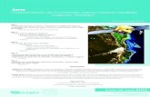 “Caracterización de Ecosistemas marino-costeros mediante Imágenes …etzna.uacam.mx/epomex/RED AtA/imagenes/poster1.pdf · 2010. 9. 30. · Día 1-Percepción Remota, Sensores,
