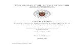 UNIVERSIDAD COMPLUTENSE DE MADRIDeprints.ucm.es/43245/1/T38909.pdf · 2017. 6. 12. · las causas de justificación centrado en explicitar las referencias teleológicas que deben