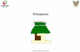 Tolcayuca - Hidalgopoblacion.hidalgo.gob.mx/pdf/perfiles/pp_municipios-Tolcayuca.pdf · 2018 14 655 3 978 9 603 1 073 7 139 2 066 4 572 501 7 516 1 912 5 031 573 ... Población Estructura