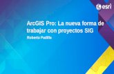 ArcGIS Pro: La nueva forma de trabajar con proyectos SIG · •Plataforma ArcGIS ... •Mejoras en la exportación. Demostración Cartografía en ArcGIS Pro. Preguntas comunes ...
