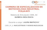 CARRERA DE ESPECIALIZACION EN BIOTECNOLOGIA …biotecnologiaindustrial.fcen.uba.ar/wp-content/uploads... · 2019. 6. 3. · • El GTP impulsa la síntesis proteica. • El CTP impulsa