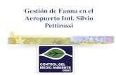 Gestión de Fauna en el Aeropuerto Intl. Silvio … GESTION DE FAUN…Comité Nacional de Peligro Aviario (Protección contra los choques con aves) creada mediante Resoluciones DINAC