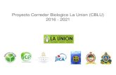 Proyecto Corredor Biologico La Union (CBLU) 2016 - 2021€¦ · Proyecto Corredor Biologico La Union (CBLU) 2016 - 2021 . Desarrollo de Proyecto 2012: Taller con CATIE, y decidido