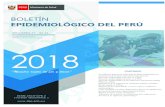 BOLETÍN · Boletín Epidemiológico del Perú SE 21-2018 (del 20 al 26 de mayo del 2018) El 66,2 % de los casos están concentrados en los grupos de edad joven y adulto (18-59 años).