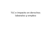 TLC e impacto en derechos laborales y empleo E IMPACTO... · 2017. 11. 19. · Relación entre TLC y empleo • Los impactos, negativos o positivos, de los acuerdos de libre comercio