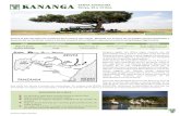 KENYA AVENTURA Kenya, 10 o 13 días 2020/Fichas... · 2019. 11. 25. · lodge Guía Kananga de habla hispana Safaris en camión y en barca Visita a alguna escuela local, pesca nocturna